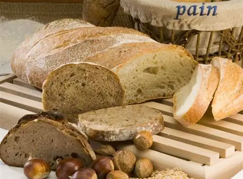 Приготовь свой хлеб