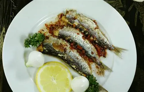 Консервированные сардины в масле