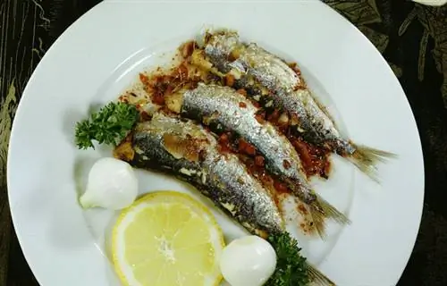 Сардины консервированные в масле