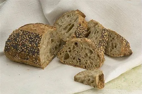 Делаем хлеб самостоятельно: зерновой хлеб