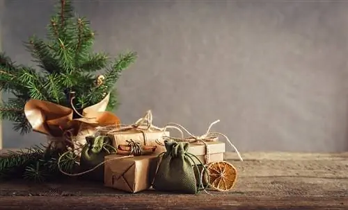 Подборка новогодних подарков для экологичного человека