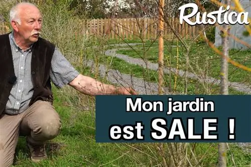 Как узнать, в хорошем ли состоянии ваш сад?