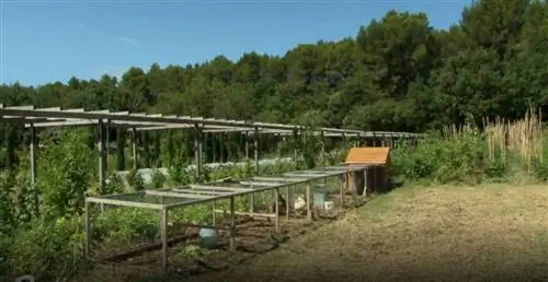 Пермакультура: мобильный курятник для прополки