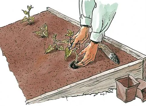 Культура подростков: советы и метод
