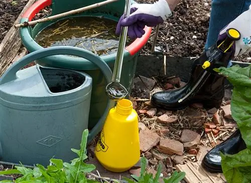 Делайте процедуры на основе хвоща и ревеня