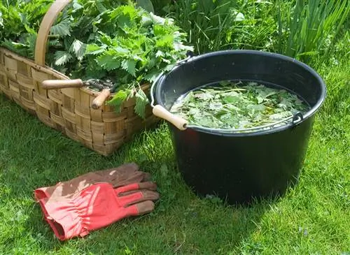 Как сделать навоз из крапивы: пошагово в картинках