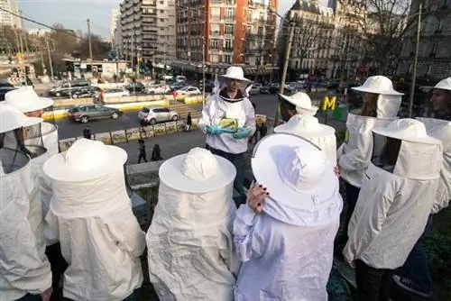 Волкан Таничи на крышах La Recyclerie (Париж 18)