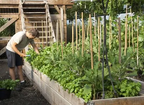Пермакультура: органический огород.