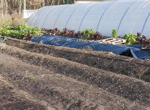 Пермакультурный курган и туннель