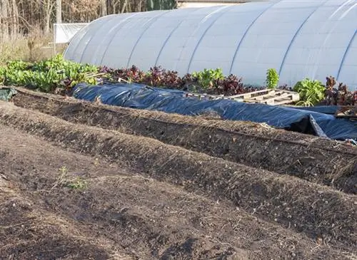 Применяйте передовые методы пермакультуры