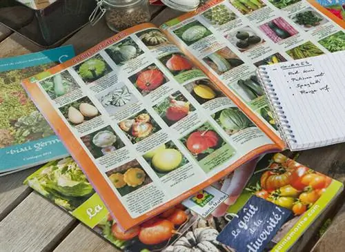 Ambiance заказ семян по каталогу