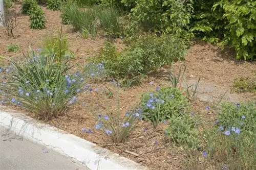 грядка из растений и мульчи