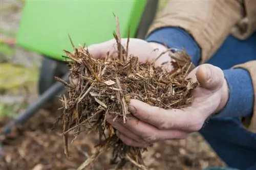 Фрагменты Brf Bois Rameal