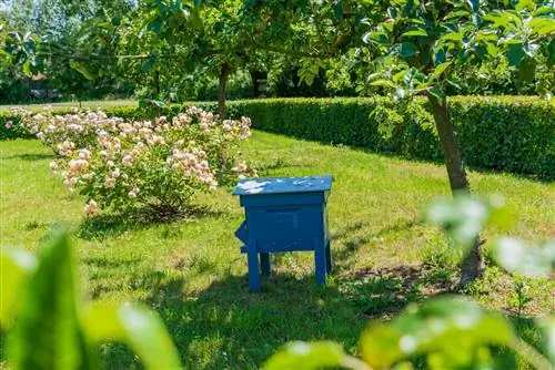 Шведская краска для защиты ваших ульев: инструкция по применению
