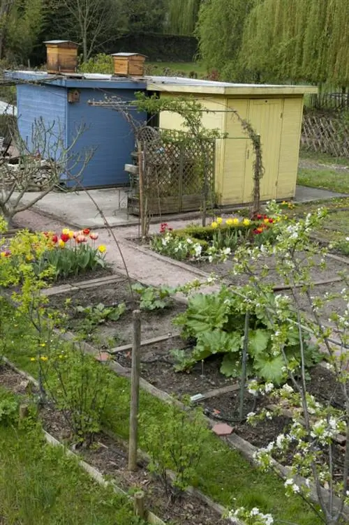 Семь советов по правильной установке улья