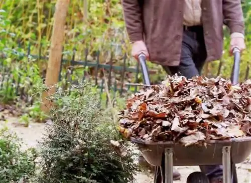 Что компостировать: список разрешенных отходов