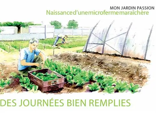 Хроника огородной микрофермы - серия 12 - Насыщенные дни