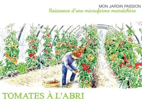 Хроника огородной микрофермы - серия 11 - Безопасные помидоры