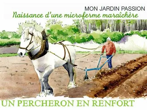 Бернар Дангер и его лошадь Украина накопали около шестидесяти курганов.