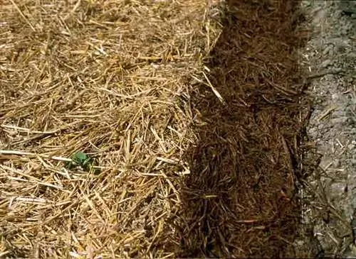 Мульча и солома из коры ивы
