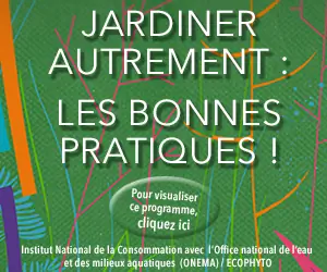 Садоводство по-другому: передовой опыт