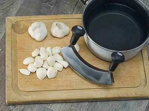 Приготовьте органический чесночный отвар для сада.