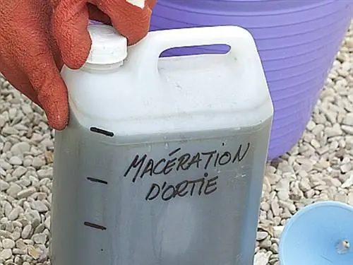 Крапивная мацерация