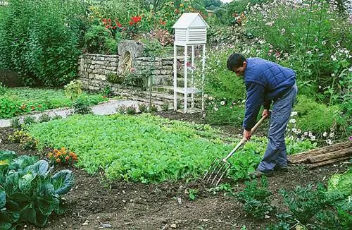 Челночное захоронение - сидераты в почве