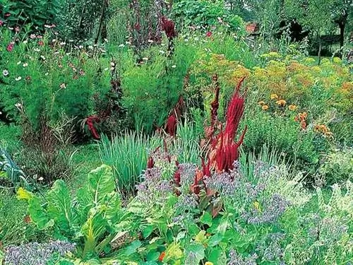 Цветущий огород