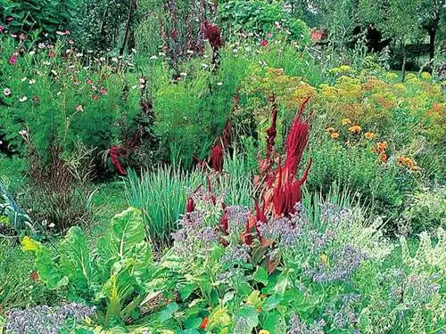 Натуральные средства для здорового сада