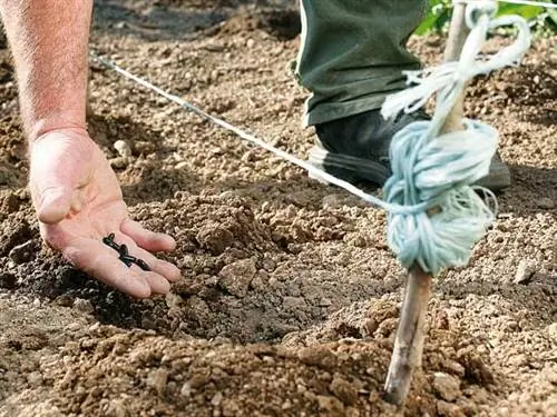 Сейте в нужное время, чтобы ограничить обработки.