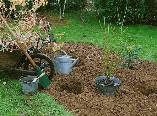 В саду, работая с природой