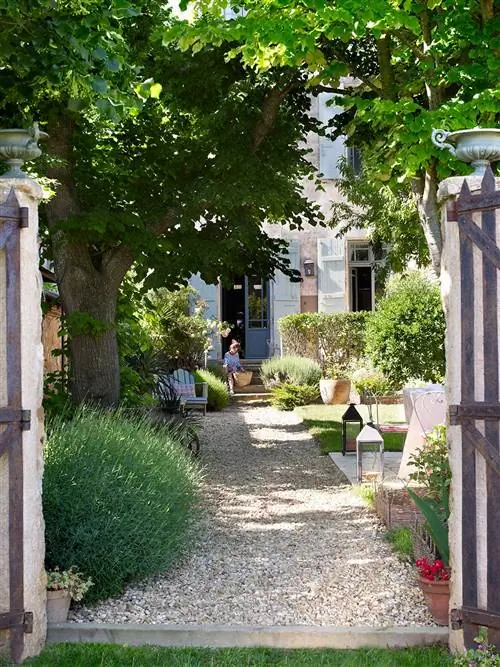 Image Image