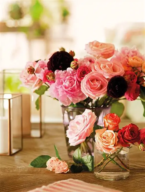Image Image