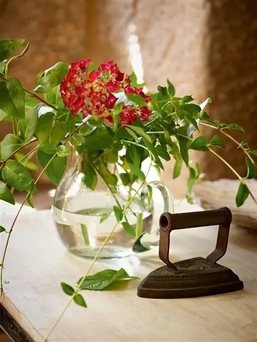 Image Image