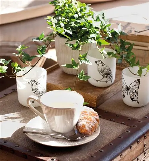 Image Image
