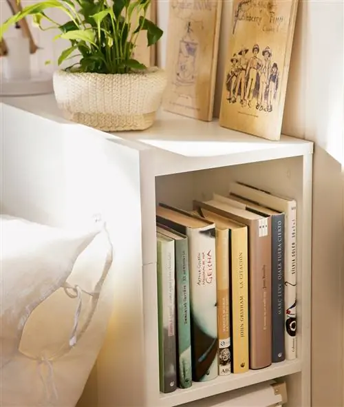 Книжная полка с заказанными книгами.