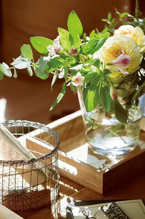 Image Image