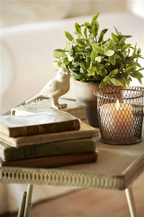 Image Image