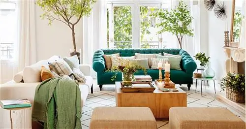 Искусство растений и фэн-шуй