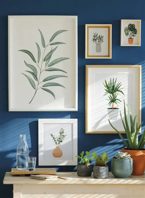 Image Image