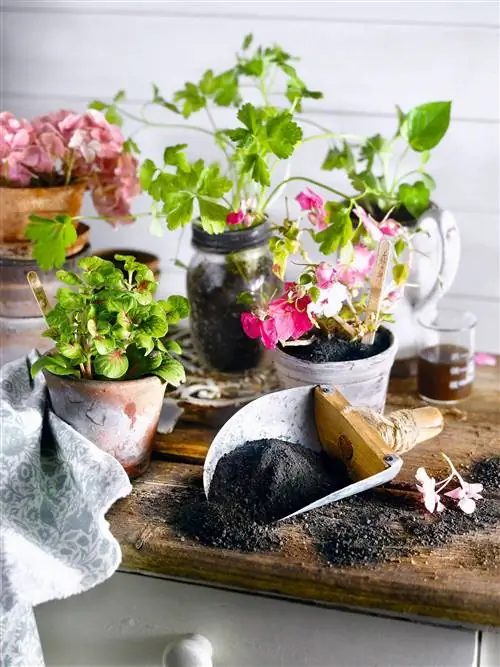 Image Image