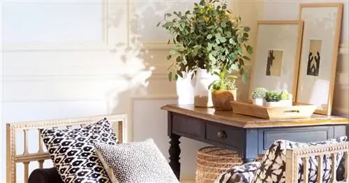 Тенденции в декоре: что в моде, а что вышло из моды