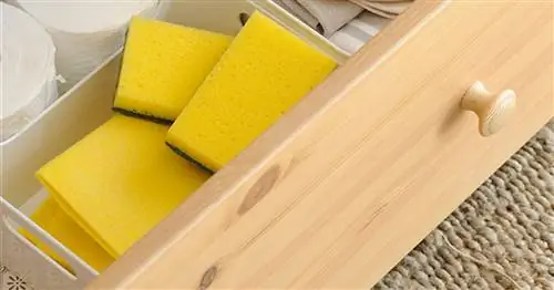 Знаете ли вы, что ваша губка может быть рассадником бактерий и микробов?