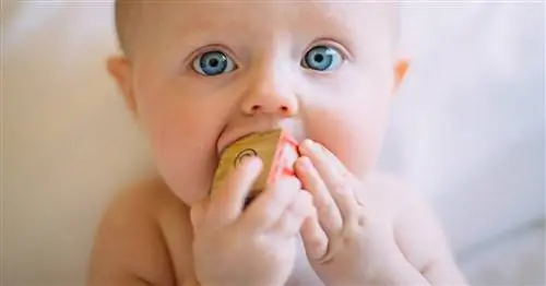 Как приучить ребенка кушать хорошо