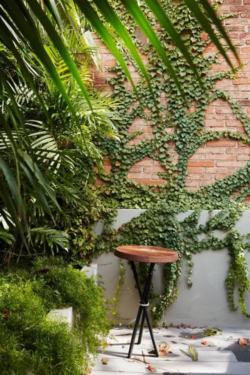 Альпинисты: как их выбрать