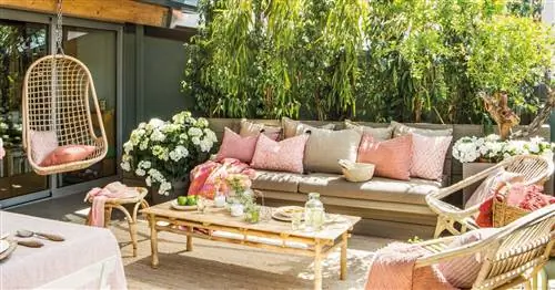 Лучшие растения для вашей террасы