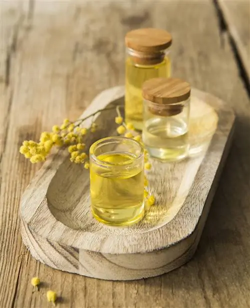 эфирное масло 00472697
