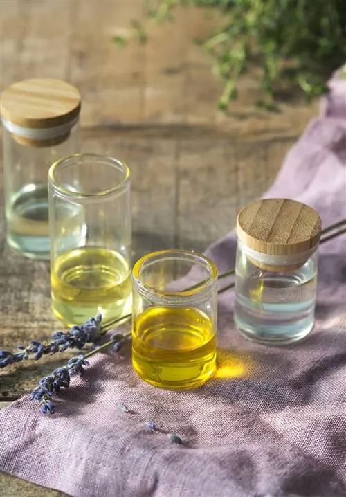 эфирные масла лаванды 00448349 O
