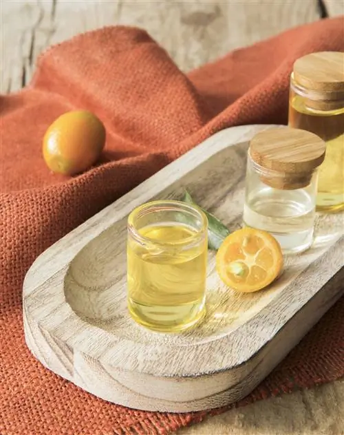эфирное масло мандарина 00472695 O